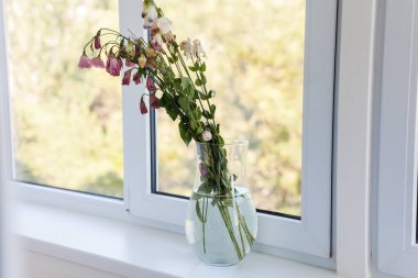 Kurumuş çiçekler ve seçici bir odak pencerenin kenarındaki cam vazoda.