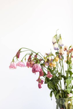 Kurumuş çiçekler ve seçici bir odak pencerenin kenarındaki cam vazoda.