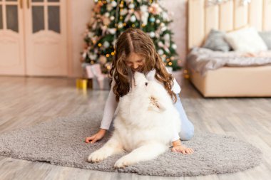 Noel kızı kucak köpeği Samoyed. Noel, kış ve insanlar konsepti. Noel tebrik kartı. - Mutlu yıllar. Evde yeni yıl.