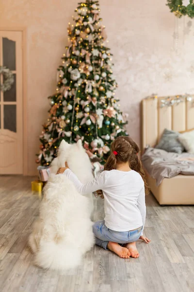 Julejente Med Hund Samoyed Foran Juletre Jul Vinter Folks Konsept – stockfoto