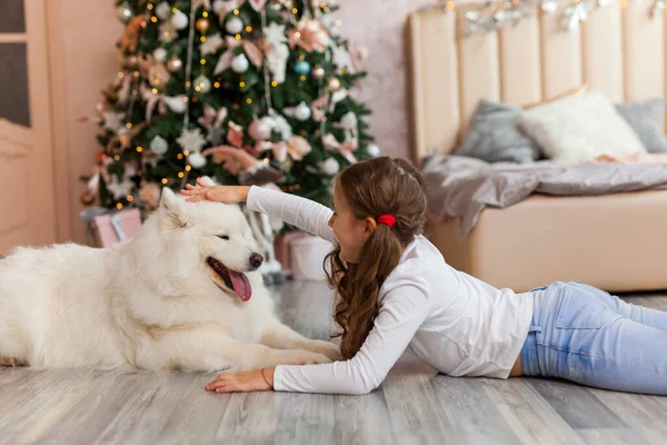 Gülümseyen köpeği Samoyed 'li Noel çocuğu kız büyük bir Noel ağacının önünde yere yattı. Noel, kış ve insanlar konsepti. Noel tebrik kartı. - Mutlu yıllar. Evde yeni yıl.