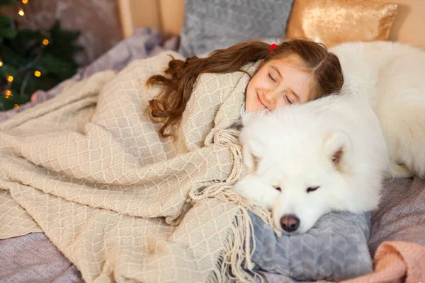 Sonriendo Soñoliento Linda Niña Abrazando Gran Blanco Esponjoso Perro Samoyed — Foto de Stock