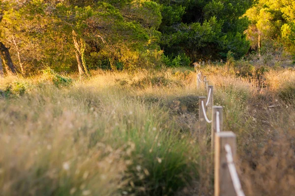Milli Parkı doğa rezerv