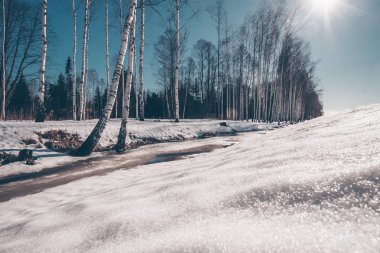 Parlak güneş karla kaplı ormanı dondurucu bir kış günüyle dolduruyor.