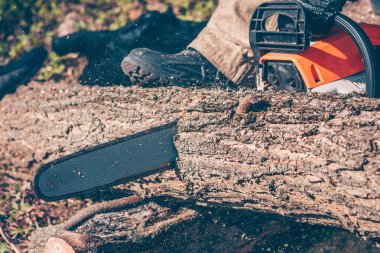 Bahçe eski ağaçları temizlemek için çalışıyor