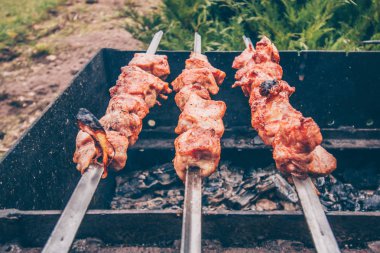 Ormanda hafta sonu, kömürler üzerinde et pişirme