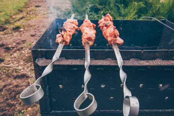 Uma Festa Livre Com Carnes Grelhadas — Fotografia de Stock