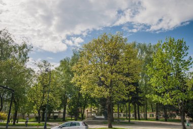 Bialystok, Polonya, 30 Nisan 2018: şehir sokaklarında ağaçlar