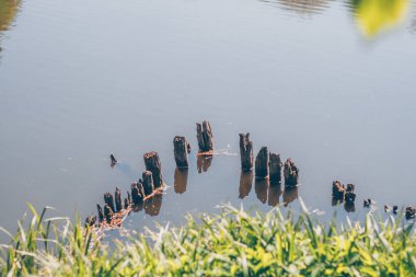 Göldeki eski ahşap iskele.