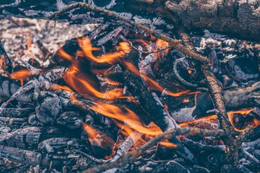 Turistler pişirme ve ısınma için bir yangın yaktı