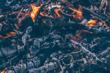 Isı ve yaşam kaynağı olarak ateş