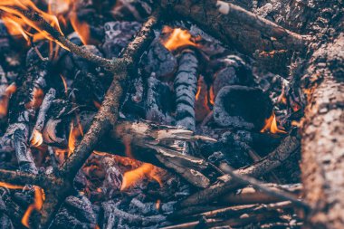 Yanma çubukları ve dalları