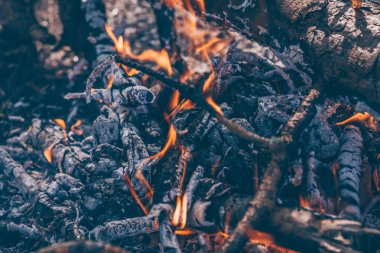 Ormanda yürüyüş sırasında kamp ateşi