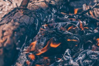 Ormanda günlük yanık, yangın riski