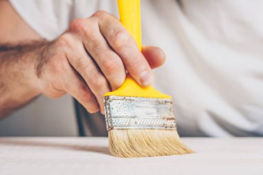 Marangoz boya ve vernik işleri yürütmektedir-fırça bir yüzeye bir vernik koyar, bitirme işleri