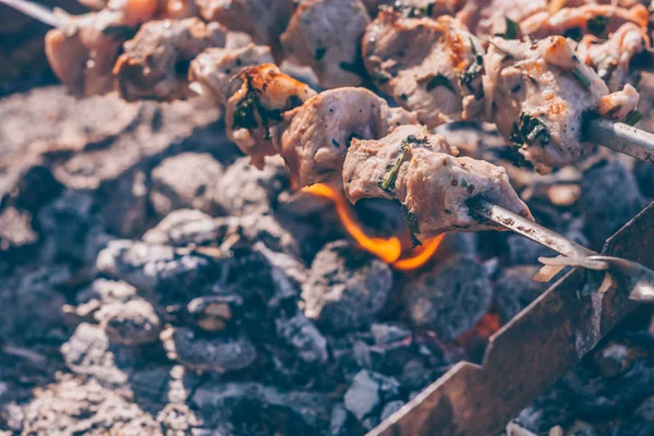 Χοιρινό Κρέας Τηγανίζεται Μια Ανοιχτή Φωτιά Μια Πεζοπορία — Φωτογραφία Αρχείου