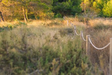 Mutfak basit İskandinav iç ayrıntıları
