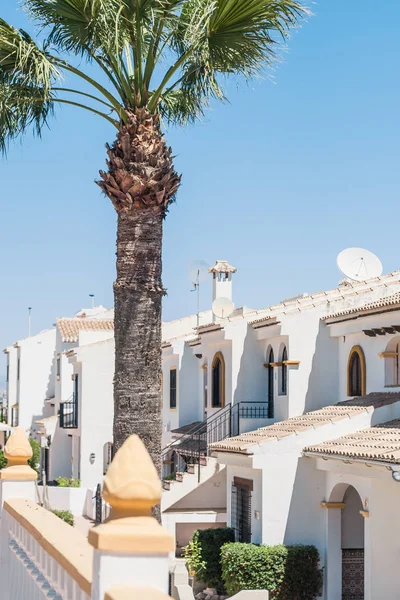 Güney Denizi Şehri Manzarası - avlu, palmiye ağaçları, Akdeniz mimarisi