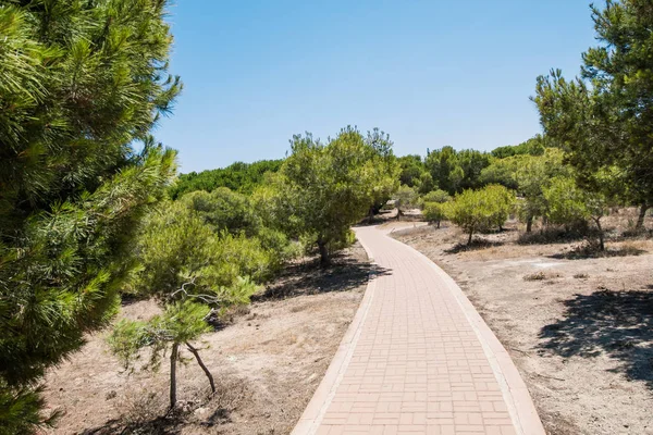 Kum tepelerinin arasından denize giden yol.