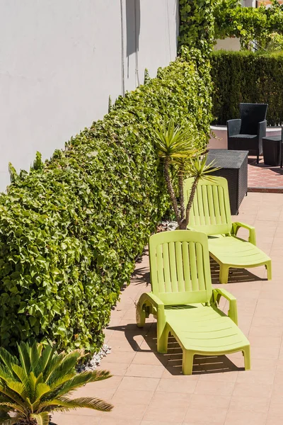 Güney Denizi Şehri Manzarası - avlu, palmiye ağaçları, Akdeniz mimarisi