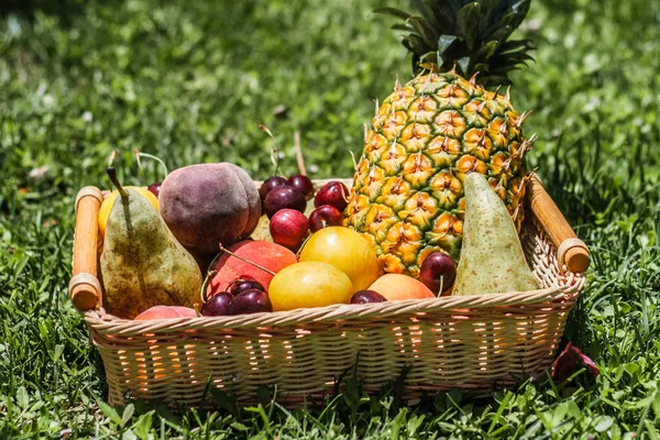 Abundance Fruits Dessert — Stock Photo, Image