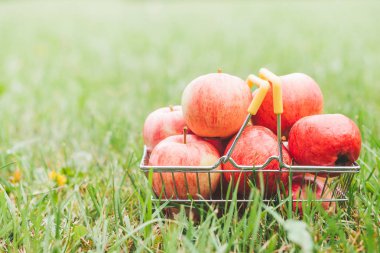 Çiftlikte çim bir sepet içinde Olgun elma - komposto, jöle, reçel