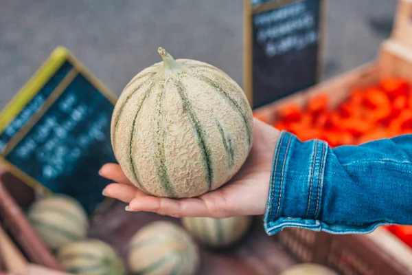 Maturare Dolce Melone Cavaillon Nella Mano Una Ragazza — Foto Stock