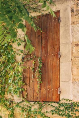  Yerel pazarda taze elma