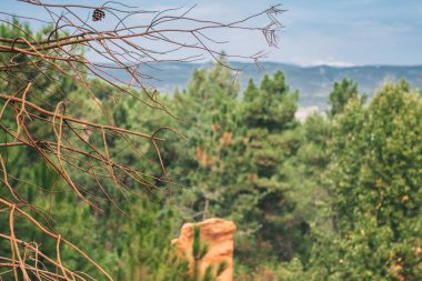 Luberon Provence Bitki Örtüsü - Roussillon