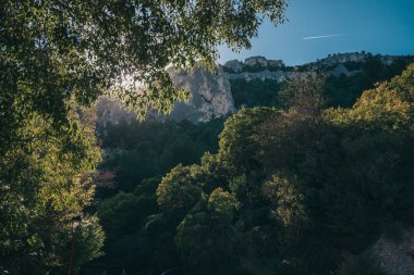Çerçevede büyük alan - dağın arka planında orman - ton perspektifi