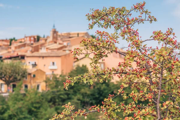 Rosellón Vaucluse Provenza Alpes Costa Azul Francia Septiembre 2018 Vista — Foto de Stock