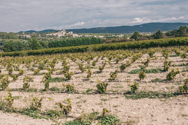 Vegetação Provença Luberon Roussillon — Fotografia de Stock