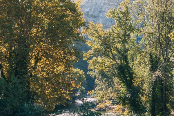 Vista Del Río Montaña Través Los Árboles — Foto de Stock