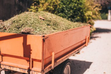 Çimenlerle dolu Provence 'daki Tarım Traktörü Karavanı