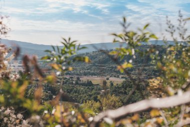 Provence Vadisi tepenin üstünden güzel manzara