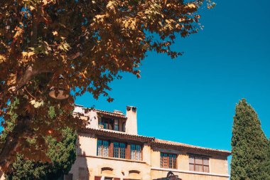 Yüksek yoğun büyümüş çit ile eski taş evin görünümü