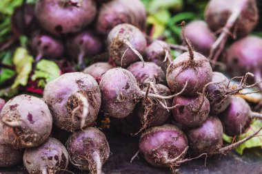 Bir çiftçi tezgahında kırmızı pancar - bir demet taze sebze