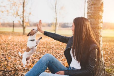 Parktaki neşeli aktif esmer kız köpeği Jack Russell Terrier ile oynuyor.