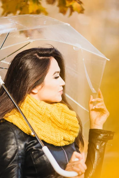 Krásná Atraktivní Dívka Orientálního Vzhledu Brunetky Podzim Pod Průhledným Deštníkem — Stock fotografie