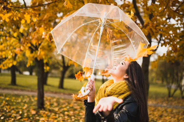 Fröhliche Brünette Versteckt Sich Park Unter Einem Regenschirm Vor Fallenden — Stockfoto