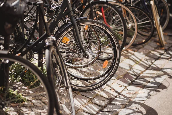 Bicicletas Cidade Transporte Ecológico Barato Conveniente Transporte Econômico — Fotografia de Stock