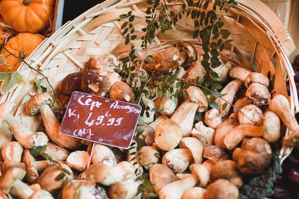 Verse Wilde Paddestoelen Een Rieten Mandje Een Winkelwagentje — Stockfoto