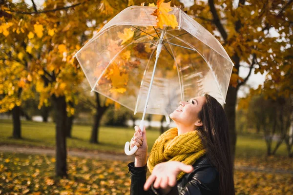 Gelbe Herbstblätter Fallen Auf Einen Durchsichtigen Regenschirm Der Hand Einer — Stockfoto
