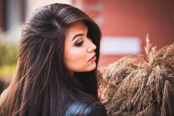 Schöne Entzückende Half Turn Brünette Mit Gepflegtem Haar — Stockfoto