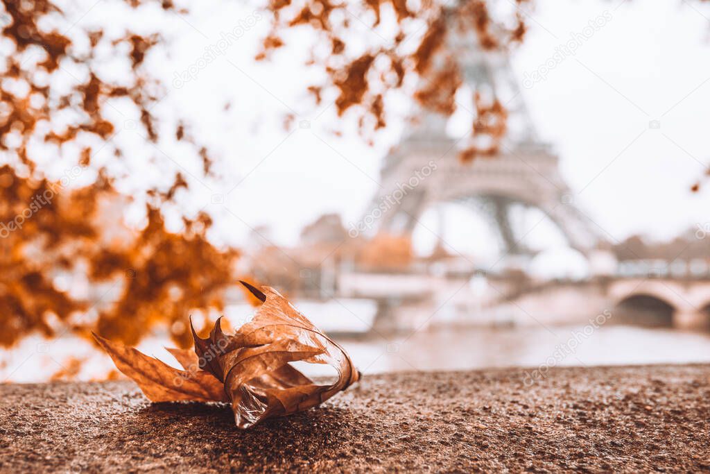 Yellow autumn leaf on a eiffel tower background