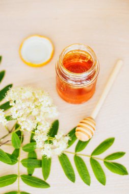 Kavanozdaki çiçekli, taze bal. Arı kovanından çıkan bal çiçeği filizi.