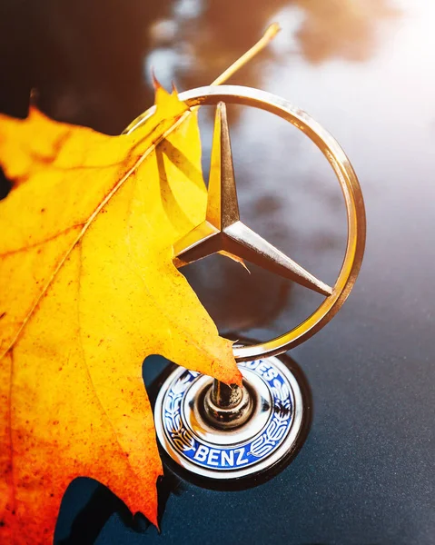 Minsk Weißrussland September 2020 Gelbes Herbstblatt Steckt Mercedes Plakette Auf — Stockfoto