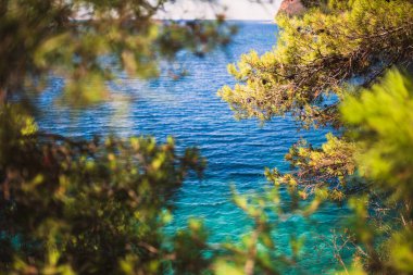 Balkan Yarımadası 'nın güzel güneşli doğası - yoğun yeşil bitki örtüsü - dağlar ve deniz ve göllerdeki berrak su - sağlık merkezi