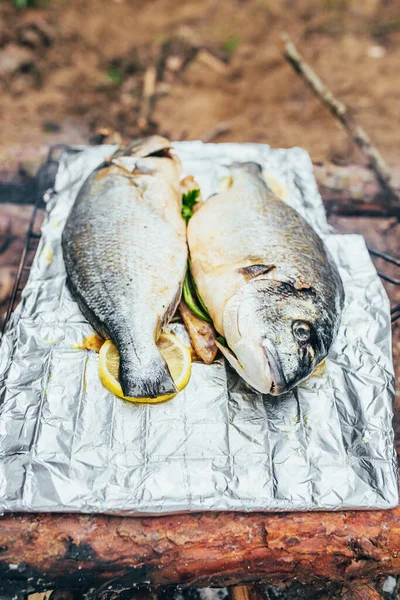 Риба Солі Спеції Лимоном Фользі Готова Смаження Грилі Над Вогнем Стокове Зображення