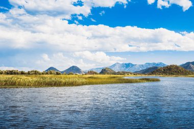 Karadağ 'daki Skadar Gölü manzarası - kıyı boyunca uzanan su bitkileri - biyolojik çeşitlilik ve dağlar